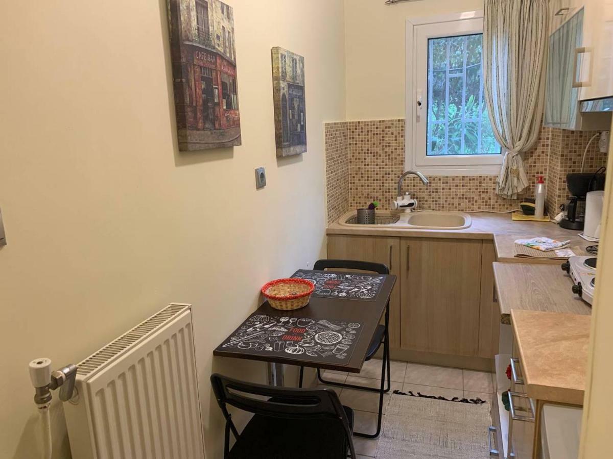 La Vie En Rose Studio,Close To Beach, Paleo Faliro Athena Bagian luar foto